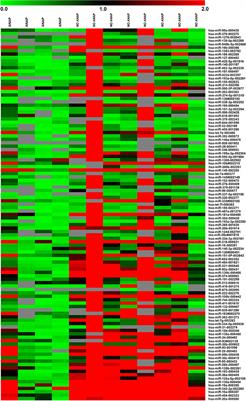 MicroRNA Profiling in Wilms Tumor: Identification of Potential Biomarkers